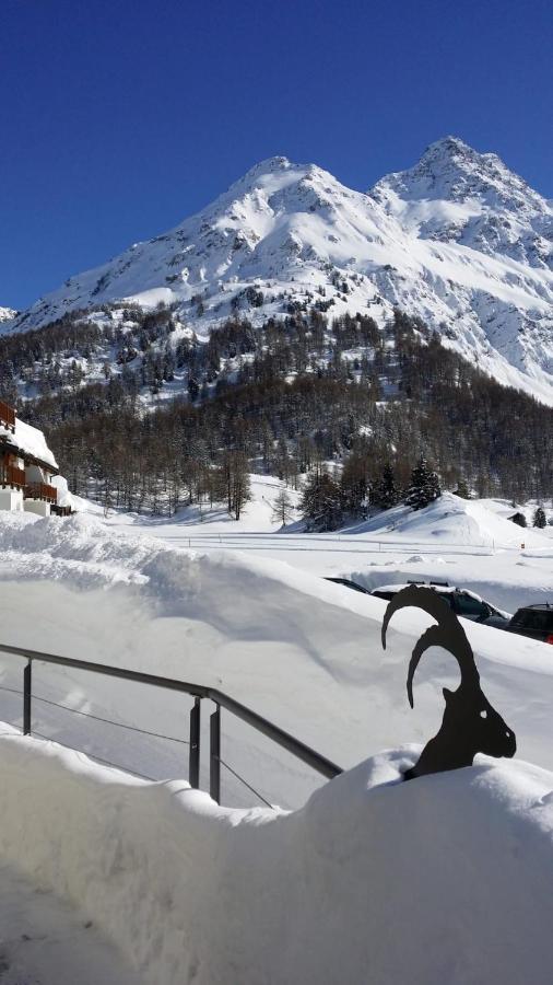 Maloja Kulm Hotel Zewnętrze zdjęcie