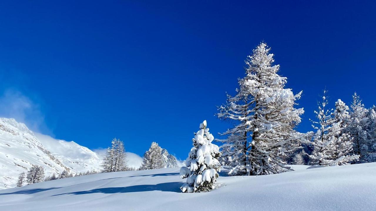 Maloja Kulm Hotel Zewnętrze zdjęcie